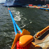 Other Marine Supplier Hawser Lines Polypropylene Ropes