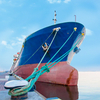 Polypropylene Marine Danline Plastic Boat Ropes